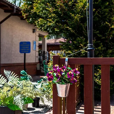 Resort Wakacje U Oli Leba